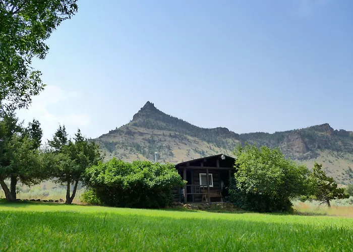 Inn Trail Shop Wapiti